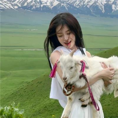 家门危机:家族荣誉2